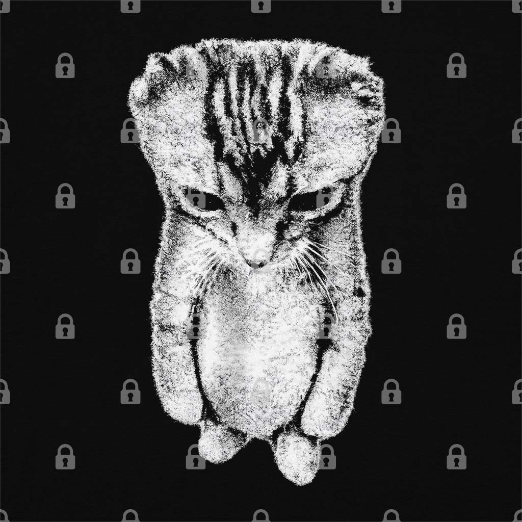 Sad Cat Standing Graphic Tee